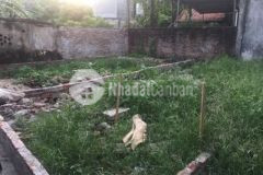 Bán đất liên mạc 40m2 phân lô ôtô kinh doanh