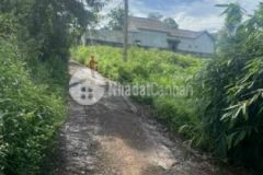 Bán đất đường 195 tp bmt