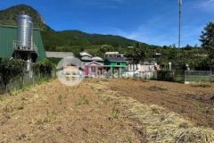 Nhà và đất 1460m2 thích hợp làm homestay