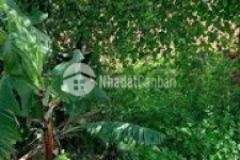 Bán lô đất siêu dài trục lộ 5