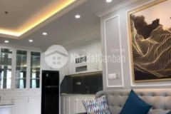 Lô góc victoria văn phú hà đông 116m 3 ngủ 2 vs