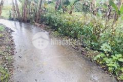 Nền phong điền mặt tiền sông thoáng mát ngang 12m