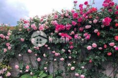 2011 m2 có 130m2 đất ở ngang 25m tại hoà phong