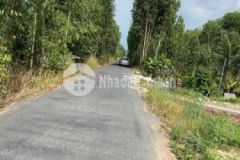 Đất cần bàn gấp diện tích ngang 10m dài 80m