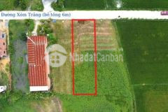 Kẹt tiền bán gấp lô full thổ giáp ranh vin 195ha