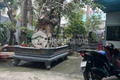 Biệt thự sân vườn lô góc view công viên cực hiếm