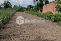 550 m2 đất có 300 thổ cư đường nhựa khu dân cư