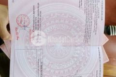 Đất thổ cư bìa riêng tại đăk lăk chỉ 200tr hết bìa