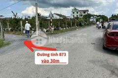 Đất thổ vườn thị xã gò công