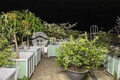 Bán nhà 3t 4pn mt 7m trưng nữ vương kd chỉ 5 tỷ 1