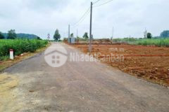 Bất đất ấp 6 sông trầu