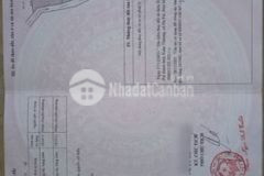 Đất view suối đá huyện đạ tẻh lâm đồng