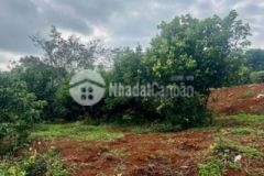 Bán gấp lô đất view suối 1000m2 giá 580 tr