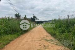 Bán nhanh 3 lô đất dt 1000m2 giá 480 tr