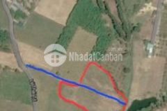 Bán đất cây lâu năm thị trấn tân minh 1 000m2