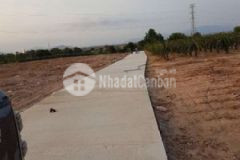 Bán đất cây lâu năm 1 000m2