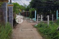 Đất thổ kdc bình chánh 8x20 chỉ 3ty650