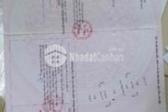 Chính chủ bán căn chung cư mini giá 220 triệu căn