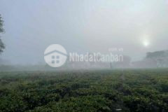 Đất sào view suối lộc ngãi giá rẻ