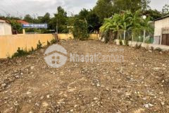 Mt kinh doanh đường 782