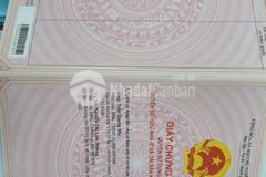 Cần bán gấp đất bình chánh 5tr500m2