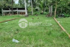 Bán nền huyện lộ 92 về hồ đắc kiện cách quốc lộ tầm 500m.