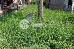 Bán nền 175m2 chợ cũ, thị trấn mỹ xuyên, huyện mỹ xuyên, sóc trăng