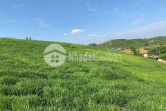 Bán nhanh mảnh đất chiềng đi để cho con du học mỹ