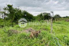 Đất đầu tư giá rẻ phù hợp để đầu tư sinh lợi nhuận cao