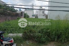 Đất hxh 8m, vườn lài, q12, 107m2, 3 x tỷ