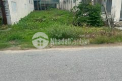 Tin hot bán đất mặt tiền quốc lộ 1a bình hiệp bình sơn quảng ngãi 9.5x42m