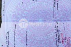 Nền hẻm ô tô đường sốc vồ địa chỉ ấp phú ninh, xã an ninh, huyện châu thành, tỉnh sóc trăng