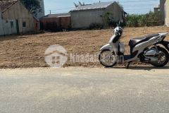 Hạ giá bán đất mặt tiền trục chính bầu chuốc bình chánh bình sơn quảng ngãi 5x34m