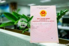 Căn 65m2 giá đầu tư tháng 10 2022