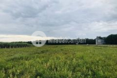 2 7 mẫu đất ngay khu dân cư 1 5km đủ mọi tiện ích