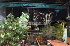 Bán nhà hiếm nguyễn bỉnh khiêm gò vấp 54m2 giá rẻ