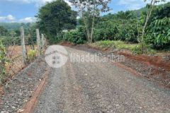 1 sào 10x100 đất phường hội phú pleiku