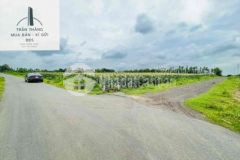 Đất bình trung phủ hồng 2mt thích hợp phân lô