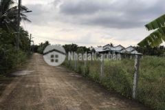 Nền biệt thự phường phú khương tp bến tre