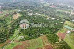 Bán gấp đất đắk wer gần đường dẫn cao tốc