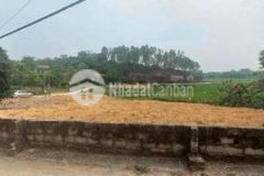 Đất nền giá rẻ ven kcn tam dương 2