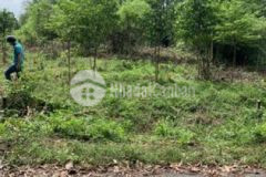 Ban lô đât nên 500m ngay trên đương dt8