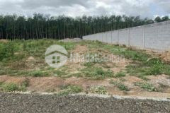 Đất sào 1000m2 20x50 giá 650 triệu sổ hồng riêng