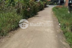 Đất nền biệt thự cách quốc lộ 30m