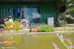 725m2 đất mê linh kèm căn contener chỉ 1 65 tỉ