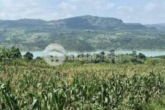 Chỉ 20tr xúy ngay 1 nền 1000m view sông đồng nai