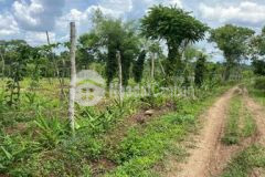 Đất sào phân lô đất view