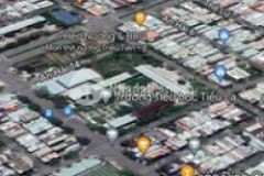 Tin trông ngày sơn trà đường dương thanh alo