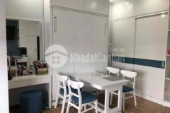 Căn hộ novaland cạnh sân bay nội thất y hình