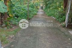 Đất sổ nông nghiệp chính chủ 80m2 tổ 4 thịnh liệt